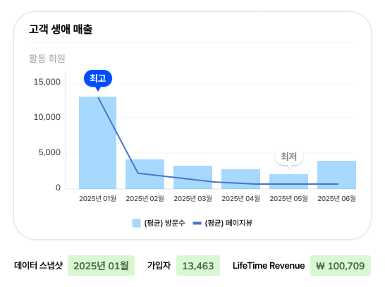 고객 생애 매출